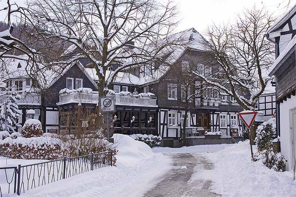 Landhotel Albers Schmallenberg Bagian luar foto